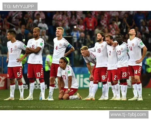 爱尔兰与丹麦上半场精彩对决分析及战术解析