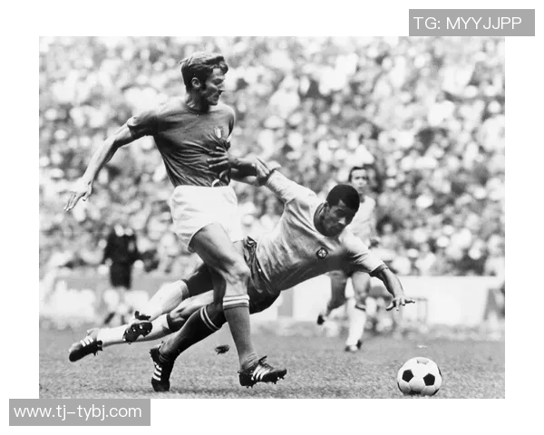 谢什科的传奇人生与足球生涯探秘与启示