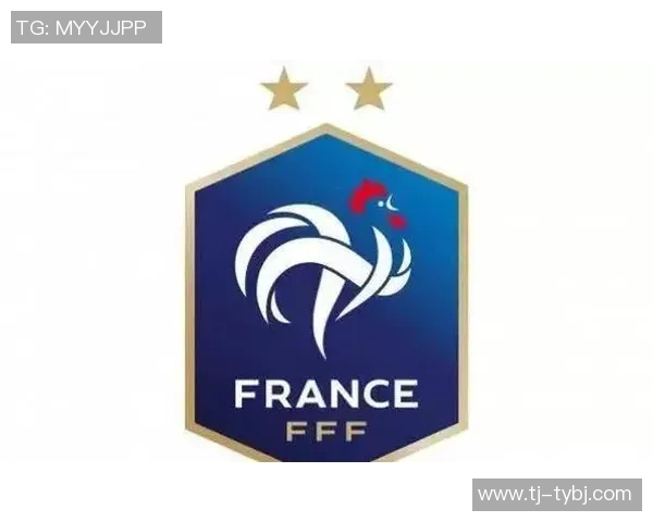 2015南非世界杯法国与丹麦赛前分析及预测展望 2015南非世界杯法国与丹麦赛前分析及预测展望